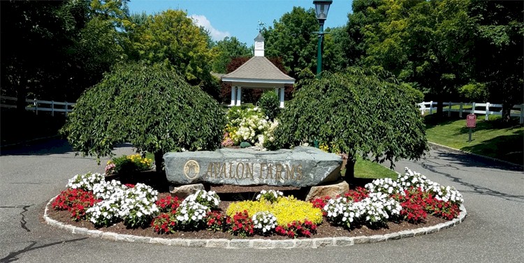 Avalon Farms